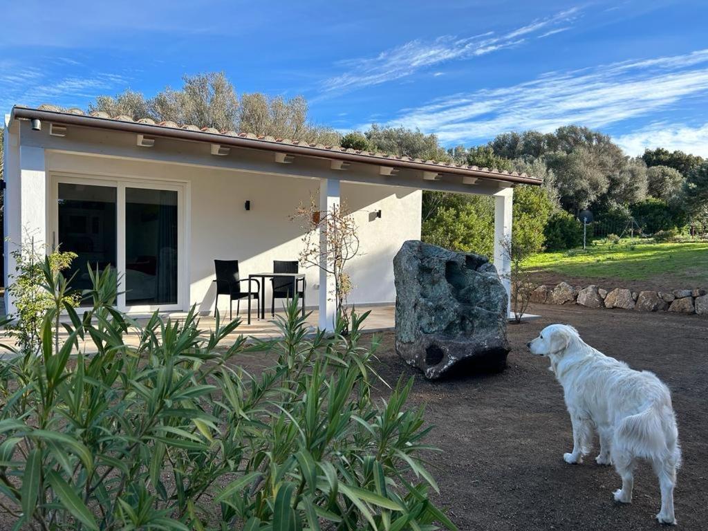 La Piana Holiday House Bassacutena Extérieur photo